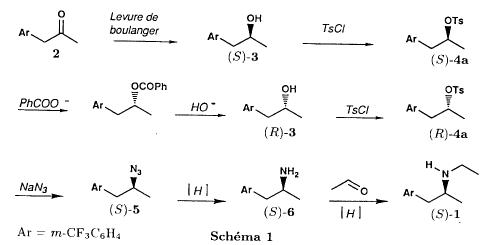 Schema 1